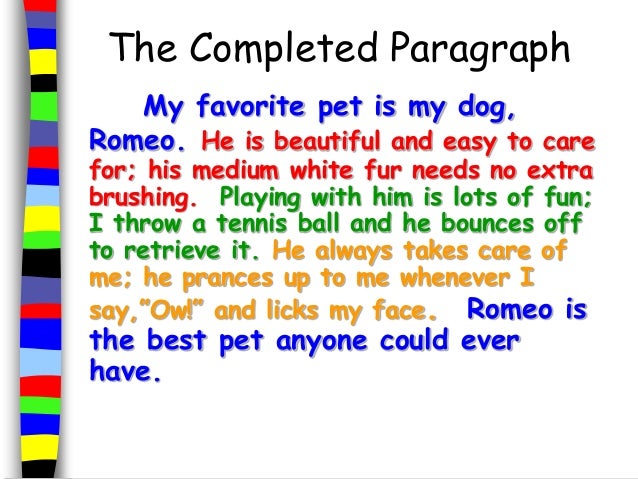 Essay on my favorite pet animal dog